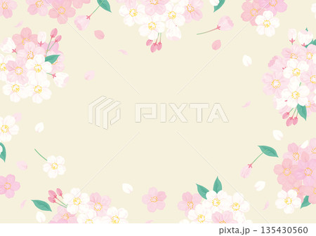 桜　背景イラスト 135430560