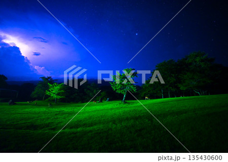 夜の高原（稲妻と鹿） 135430600