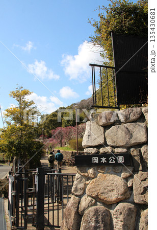 梅林のある岡本公園 梅林のある岡本公園 135430681
