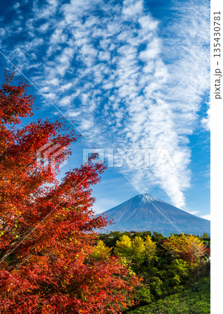 秋の空に紅葉と富士山 秋の空に紅葉と富士山 135430781