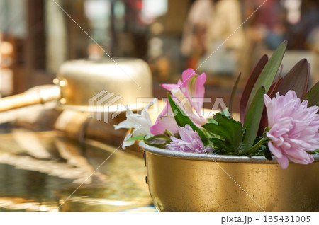 神社の入口にある手水舎のところに生けてある植物 神社の入口にある手水舎のところに生けてある植物 135431005