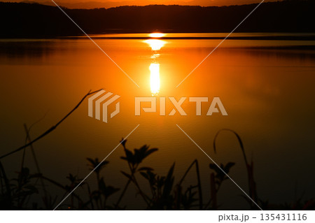 太陽の湖面反射 狭山湖 湖畔からの眺め 太陽の湖面反射 狭山湖 湖畔からの眺め 135431116