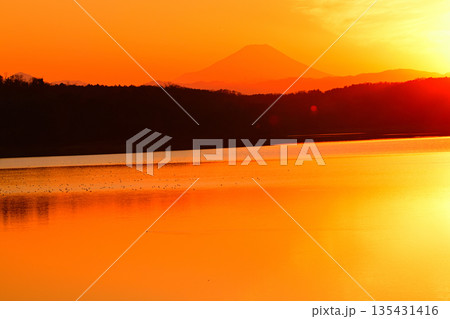 夕焼けに染まる富士山 狭山湖 湖畔からの眺め 夕焼けに染まる富士山 狭山湖 湖畔からの眺め 135431416