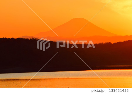 夕焼けに染まる富士山　狭山湖　湖畔からの眺め 135431433