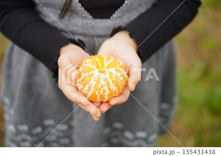 皮をむいたみかんを両手で持つ子ども 秋冬のやさしい食の時間 皮をむいたみかんを両手で持つ子ども 秋冬のやさしい食の時間 135431438