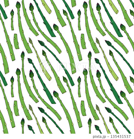 Pattern with juicy fresh asparagus directed diagonally, seamless vegetable illustration on white Pattern with juicy fresh asparagus directed diagonally, seamless vegetable illustration on white 135431537