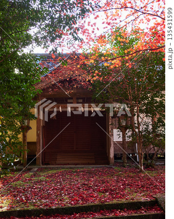秋の美しい鮮やかな紅葉と観光地のお寺の風景 135431599