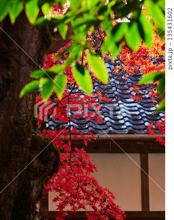 秋の美しい鮮やかな紅葉と観光地のお寺の風景 135431602