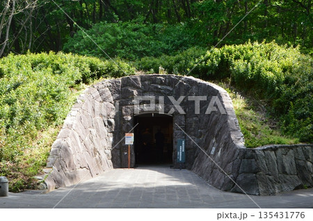 岩宿遺跡(B地点)(群馬県みどり市) 岩宿遺跡(B地点)(群馬県みどり市) 135431776