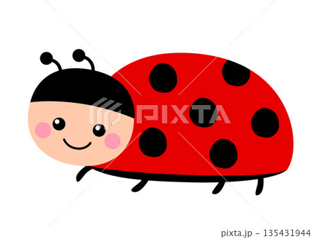 かわいいてんとう虫のキャラクター かわいいてんとう虫のキャラクター 135431944