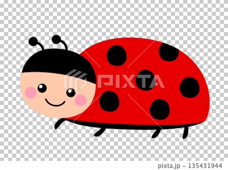 可愛的瓢蟲角色 可愛的瓢蟲角色 135431944