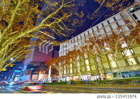 《愛知県》名古屋都市風景 栄ミナミウィンターイルミネーション 《愛知県》名古屋都市風景 栄ミナミウィンターイルミネーション 135431974