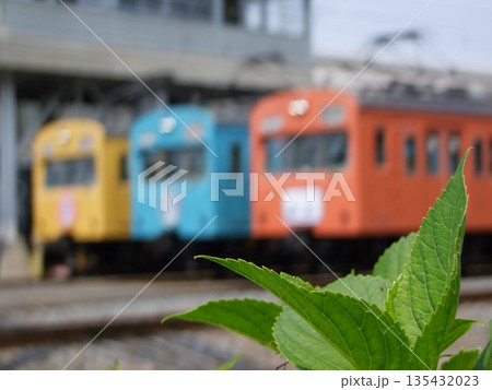 秩父鉄道と新緑 秩父鉄道と新緑 135432023