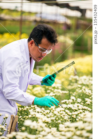 Agricultural scientist wearing lab coat and gloves inspecting white flowers with tablet in hand, representing modern farming technology, botanical research, plant science, and floriculture innovation Agricultural scientist wearing lab coat and gloves inspecting white flowers with tablet in hand, representing modern farming technology, botanical research, plant science, and floriculture innovation 135432409