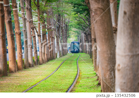 緑のトンネルとトラム　台湾 135432506