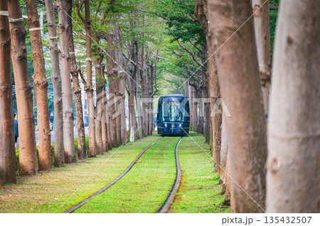 緑のトンネルとトラム　台湾 135432507