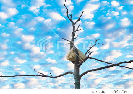 リヤドのナショナルミュージアムの景観 135432562