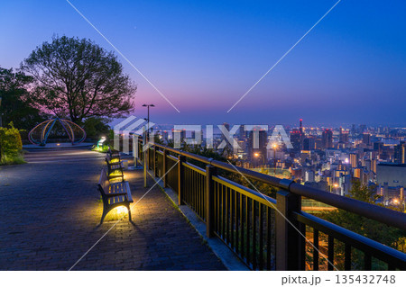 《兵庫県》神戸ビーナスブリッジ・諏訪山公園展望台の夜明け前の夜景 135432748
