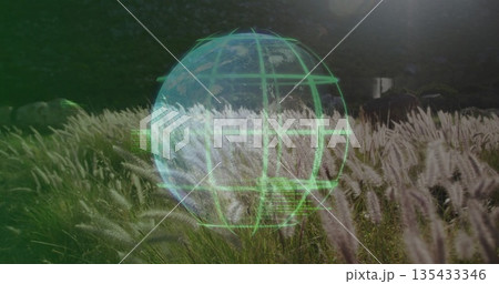 Projecting neon-green holographic globe over rural meadow with swaying feathery grasses at hillside 135433346