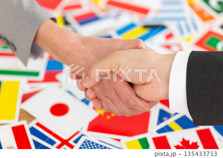 握手するビジネスマンとたくさんの国旗 握手するビジネスマンとたくさんの国旗 135433713