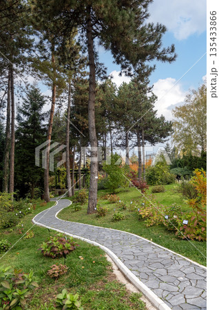 Winding Stone Path Among Tall Pine Trees In Autumn Garden 135433866