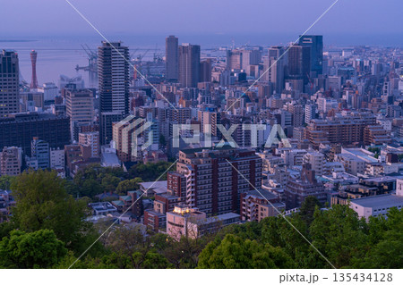 《兵庫県》神戸ビーナスブリッジ・諏訪山公園展望台の夜明け 135434128