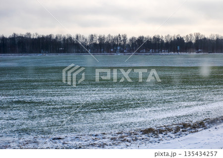 Quiet winter scene in rural landscape, Serene snowblanketed field under cloudy sky Quiet winter scene in rural landscape, Serene snowblanketed field under cloudy sky 135434257