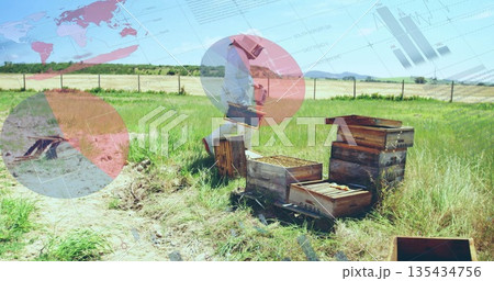 Lifting hive frame beekeeper wearing veil and gloves inspecting honeycomb on beehive boxes in field 135434756