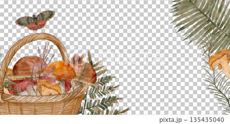 artistic fungi arrangement, autumnthemed basket illustrating diverse fungi and leafy elements for branding 135435040