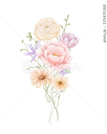 Watercolour bouquet with pink peony, daisy and eucalyptus leaves isolated on white background, spring flowers 135435169