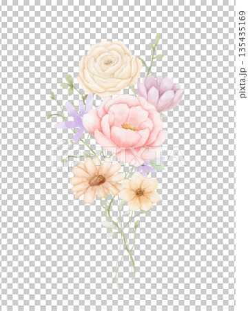 Watercolour bouquet with pink peony, daisy and eucalyptus leaves isolated on white background, spring flowers 135435169