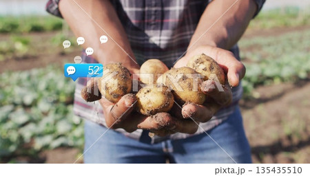 Presenting adult farmer wearing plaid shirt holding soil-covered potatoes in field, with neat rows 135435510
