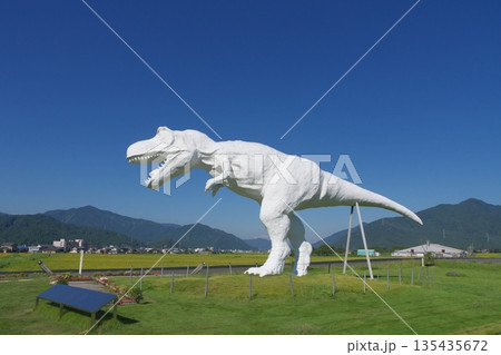 ホワイトザウルス 135435672