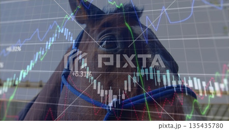 Merging brown horse wearing halter into digital overlay with candlesticks, line graphs +6 135435780