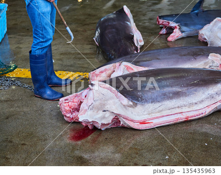 観光名所和歌山県の勝浦漁港のマグロ卸し市場のサメ解体の様子 135435963