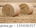 収穫後にロール状にまとめられた草 135436357