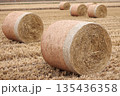 収穫後にロール状にまとめられた草 135436358