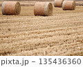 収穫後にロール状にまとめられた草 135436360