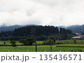 霧に包まれた十日町の深い森と夏の田園風景 鉄塔のある里山の朝 135436571