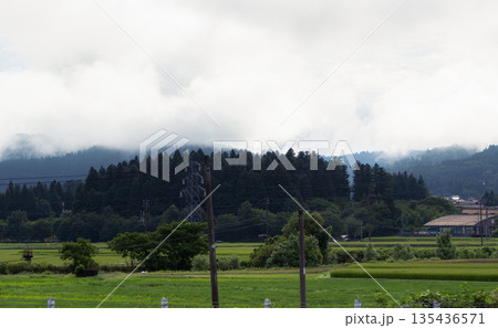 霧に包まれた十日町の深い森と夏の田園風景 鉄塔のある里山の朝 霧に包まれた十日町の深い森と夏の田園風景 鉄塔のある里山の朝 135436571