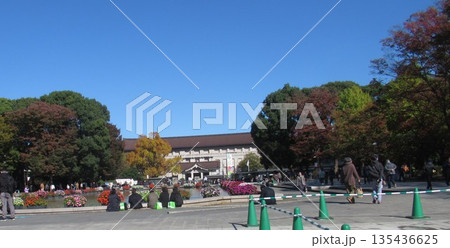 上野公園 噴水広場付近 上野公園 噴水広場付近 135436625