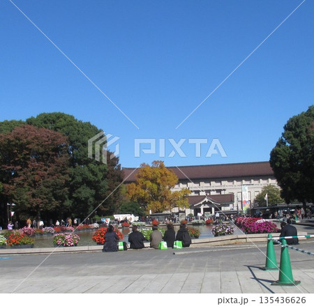 上野公園 噴水広場付近 上野公園 噴水広場付近 135436626