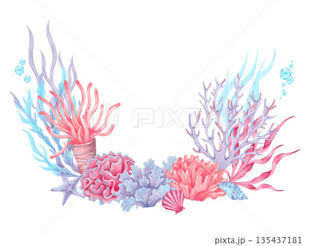Watercolor marine composition featuring coral, seaweed, plants, shell, starfish. The underwater world of the seabed. A hand drawn coral reef with space for text. Frame for children's, summer projects. 135437181