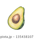 Half of fresh avocado with brown seed. Hand drawn watercolor ripe green fruit illustration isolated from background for food design, Healthy eating for stores, cafes, packaging, vegetables vegan menu. 135438107