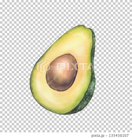 Half of fresh avocado with brown seed. Hand drawn watercolor ripe green fruit illustration isolated from background for food design, Healthy eating for stores, cafes, packaging, vegetables vegan menu. Half of fresh avocado with brown seed. Hand drawn watercolor ripe green fruit illustration isolated from background for food design, Healthy eating for stores, cafes, packaging, vegetables vegan menu. 135438107