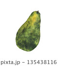 Avocado fruit whole with peel. Watercolor One ripe avocado with textured green skin and stem. Hand drawn illustration isolated from background for vegetable food menu, healthy vegan product packaging. 135438116