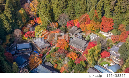 Nov 23 2025 Serene Jakko in Temple in Ohara Kyoto Valley 135438235
