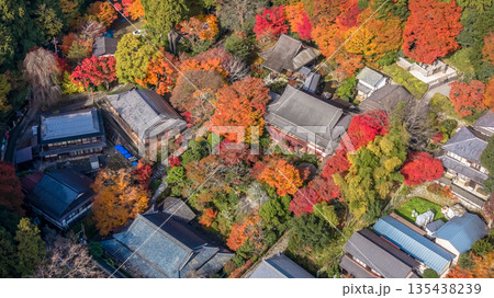 Nov 23 2025 Serene Jakko in Temple in Ohara Kyoto Valley 135438239