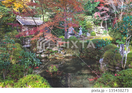 Nov 23 2025 Zen Garden at Jakko in Temple in Kyoto Nov 23 2025 Zen Garden at Jakko in Temple in Kyoto 135438273