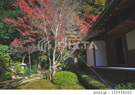 Nov 23 2025 Historic Jakko in Temple Amid Scenic Kyoto Mountains 135438283